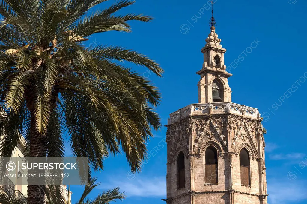 The Miguelete, the tower of the Cathedral of Valencia above palm trees and buildings of Plaza de la Reina; Valencia, Spain