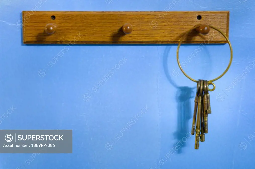 Skeleton keys on hook