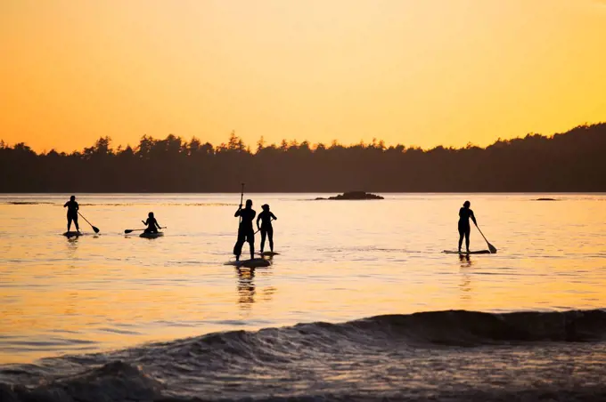 Five Women Stand Up Paddle Boarding On The Ocean Near Tofino, On Mackenzie Beach At Sunset, Vancouver Island; Tofino, British Columbia, Canada
