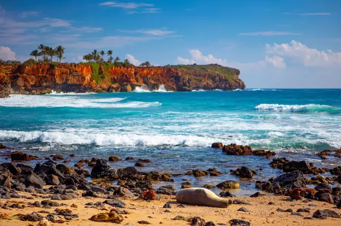 Colourful coastline with palm trees and the Pacific Ocean washing up on a beach of a Hawaiian island; Hawaii, United States of America