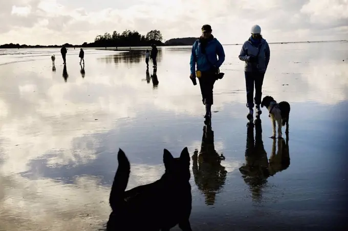 Walking on beach with dogs, Tofino, Vancouver Island, British Columbia, Canada