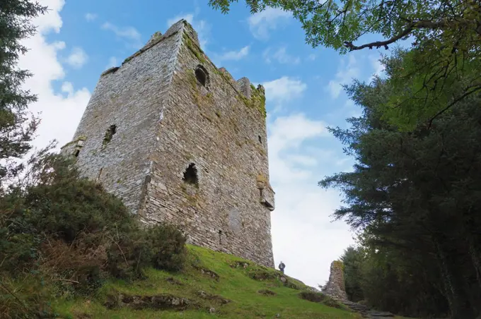 ballynacarriga castle, county cork ireland