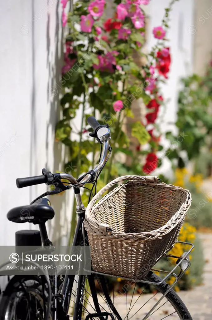 Bicycle with basket and hollyhocks, Ars_en_Re, Ile de Re, Charente_Maritime, France, Europe