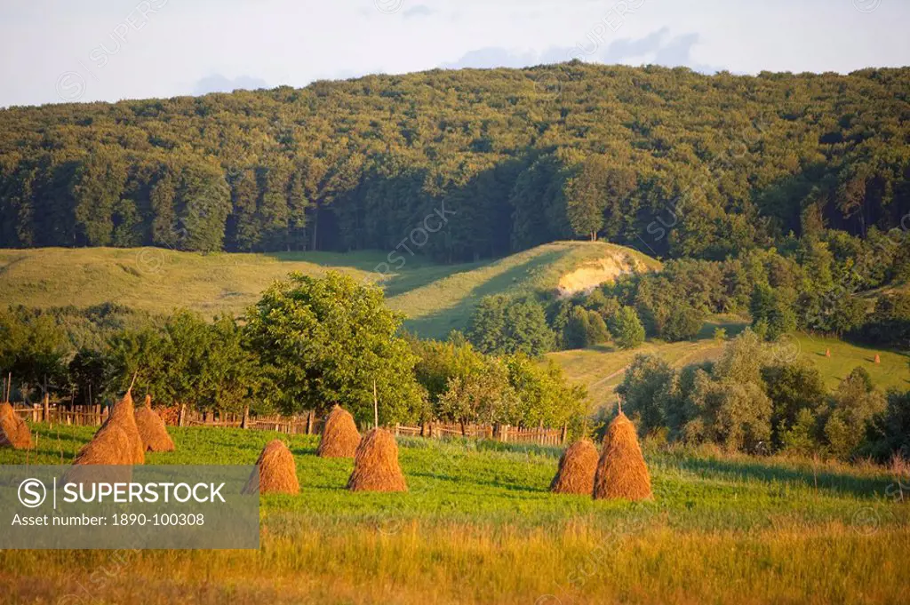Countryside near Guru Humorului, Bucovina, Romania, Europe