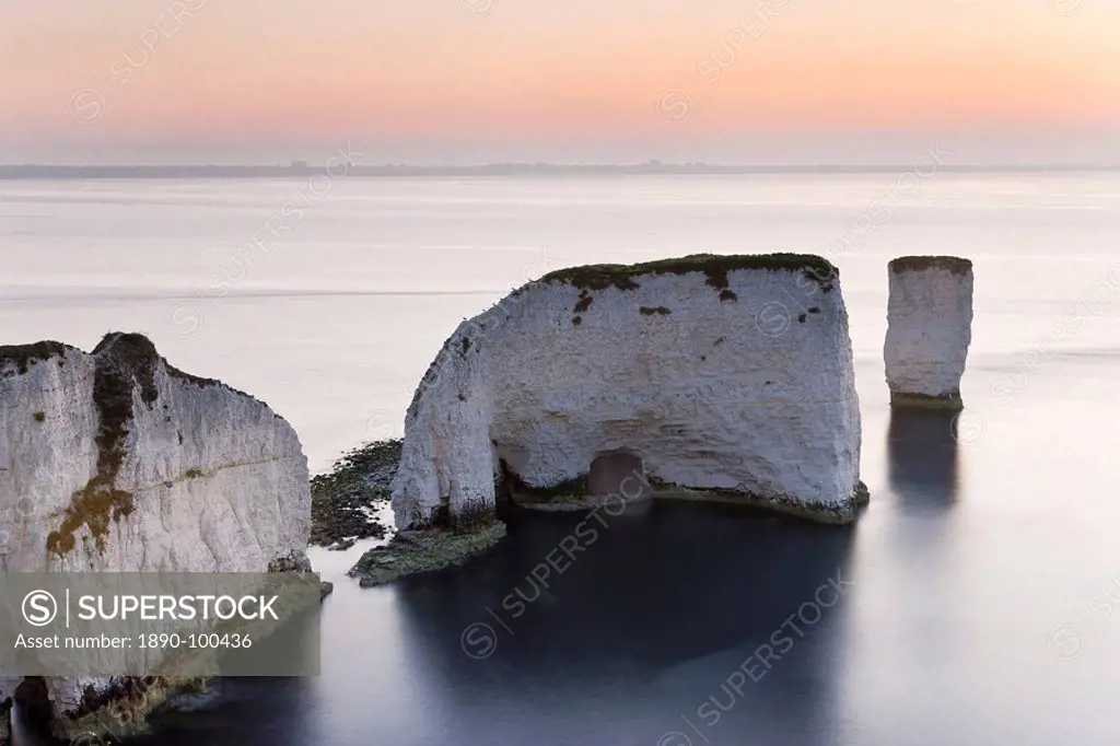 Old Harry Rocks, The Foreland or Handfast Point, Studland, Isle of Purbeck, Dorset, England, United Kingdom, Europe