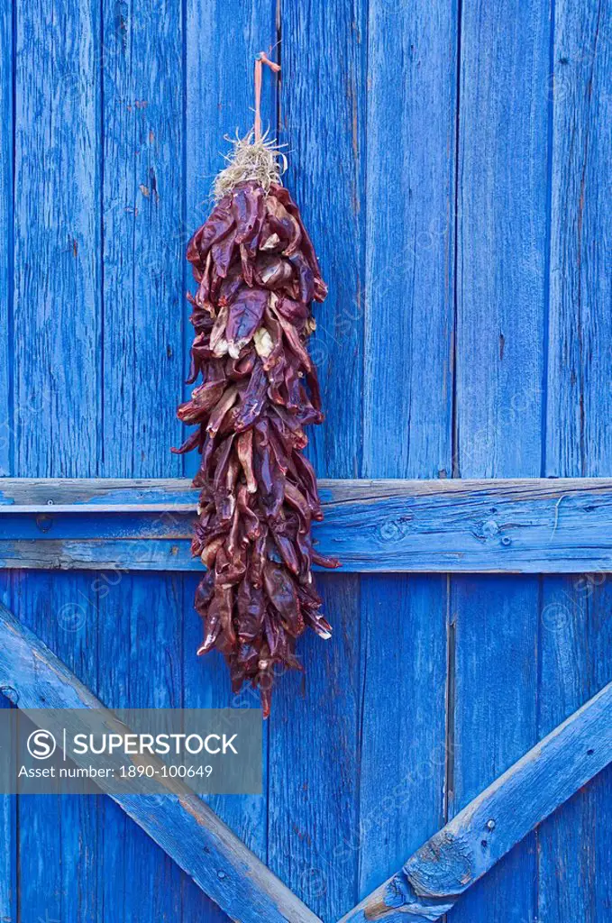 Red chilli peppers on barn door, New Mexico, United States of America, North America