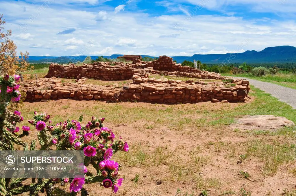 Cactus blossoms at Pecos National Historical Park, New Mexico, United States of America, North America