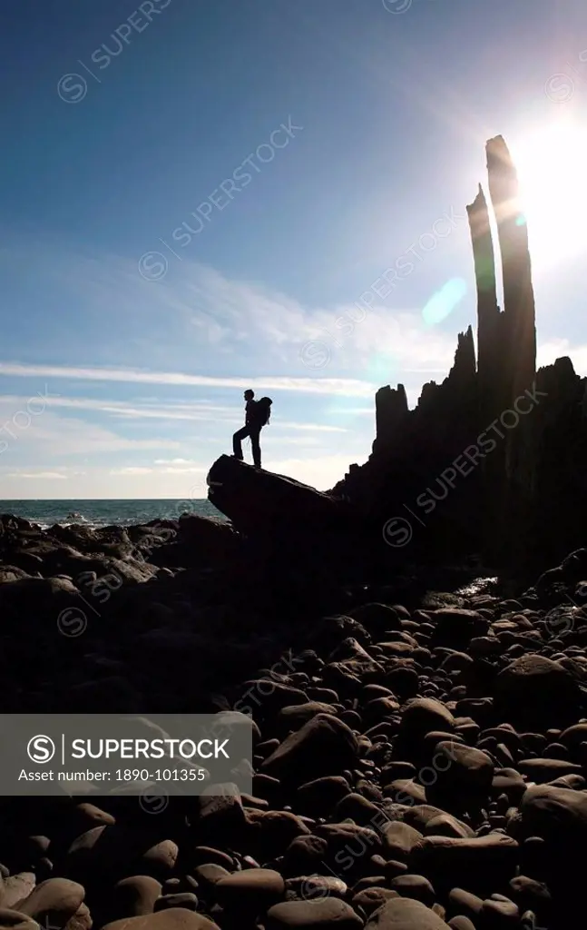 A walker stands on a boulder beside the isolated Bear Rock, a Culm pinnacle near Hartland Quay, Culm Coast, North Devon, England, United Kingdom, Euro...