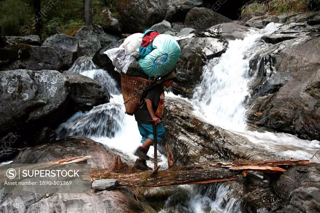 A porter crosses a river using a fallen log whilst carrying a heavy load up the Hingku Valley, near Lukla, south of Mount Everest, Nepal Himalaya, Nep...
