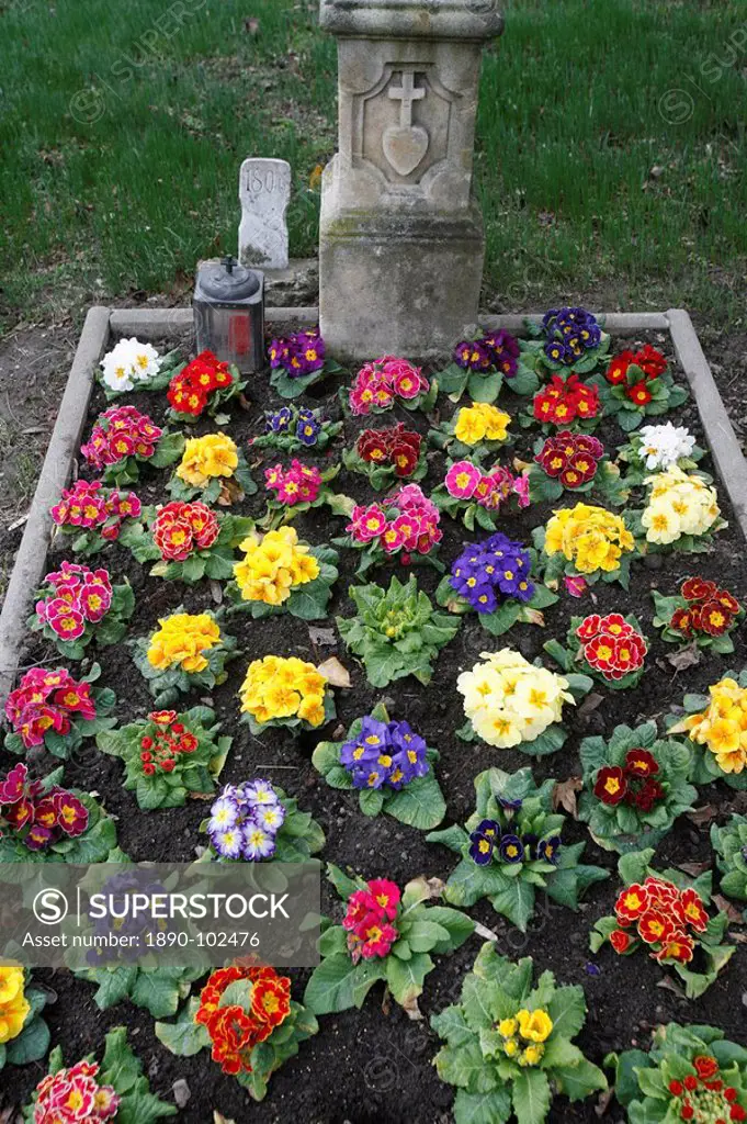 Flowers on a grave, Vienna, Austria, Europe