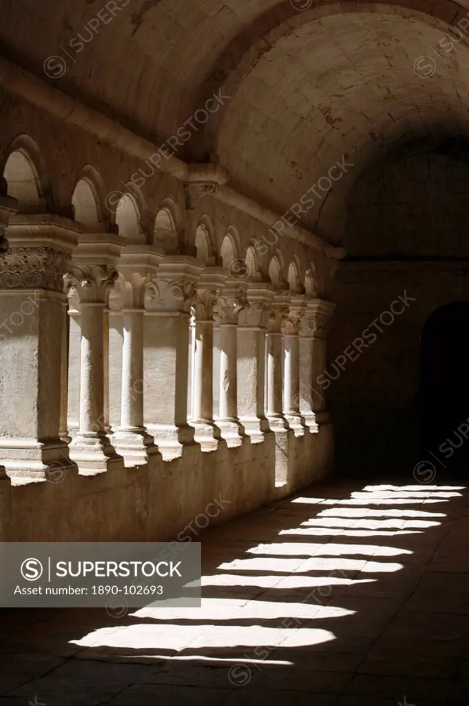 Notre_Dame de Senanque Abbey cloister, Gordes, Vaucluse, France, Europe