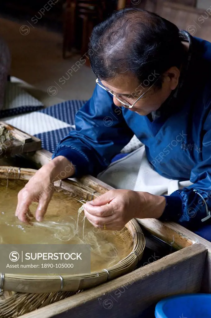 Separating mulberry fibers for making Japanese washi paper at the Echizen Washi No Sato village in Fukui, Japan, Asia