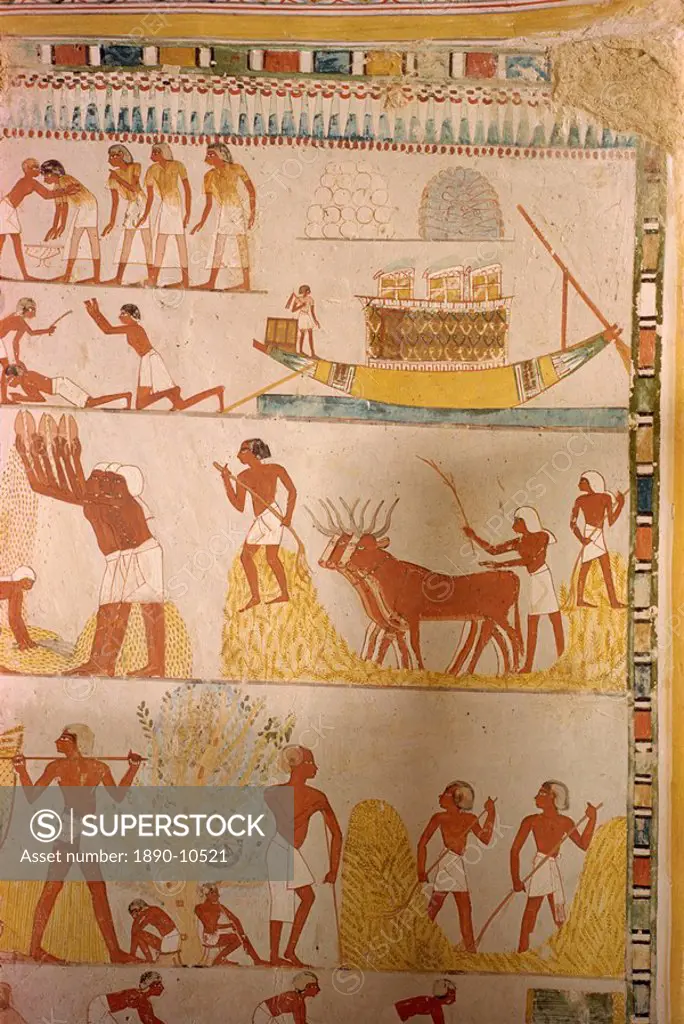 Harvesting scene from the time of the 18th Dynasty land steward Sheikh Aba el Kurna, Tomb of Menna, Thebes, UNESCO World Heritage Site, Egypt, North A...