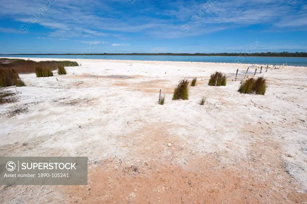 Salt and algal deposits at Lake Clifton, one of a string of coastal lakes south of Mandurah, Yalgorup National Park, Mandurah, Western Australia, Aust...
