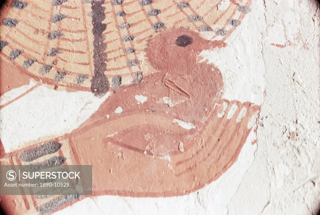 Wall painting of bird in hand in the tomb of Nakht, Minister of Agriculture in the reign of Tutmosis IV, Valley of the Nobles, Thebes, UNESCO World He...