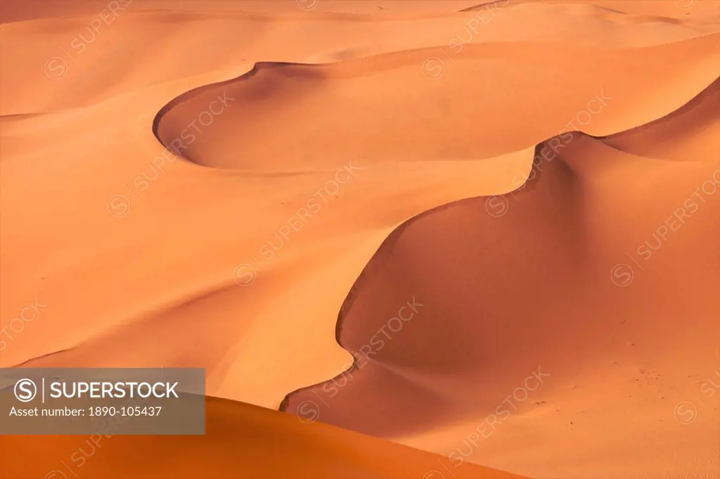 The dunes of the erg of Murzuk in the Fezzan desert, Libya, North Africa, Africa
