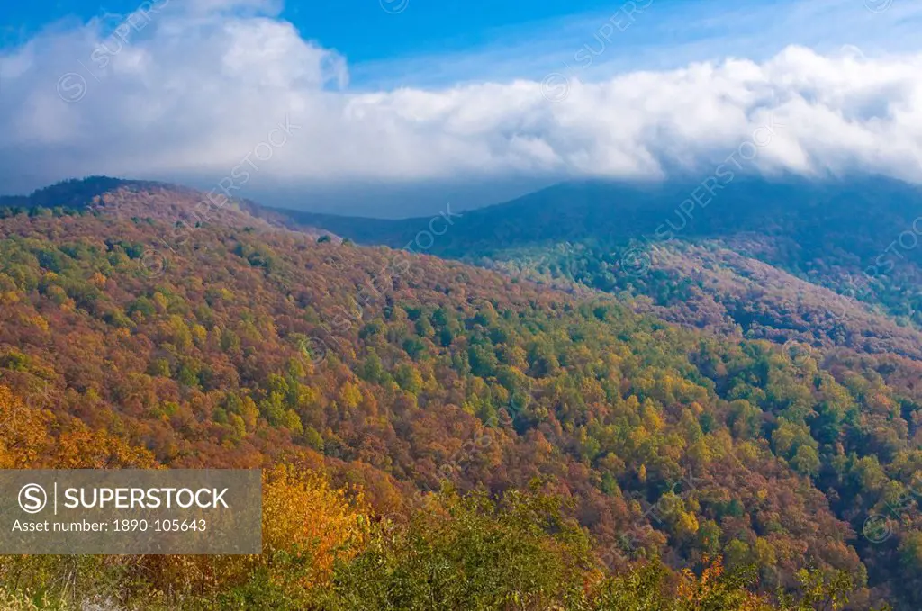 View over the Shenandoah National Park with beautiful foliage in the Indian summer, Virginia, United States of America, North America