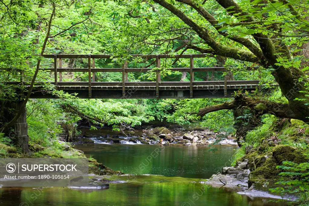 Footbridge over the Nedd Fechan River, Brecon Beacons National Park, Powys, Wales, United Kingdom, Europe