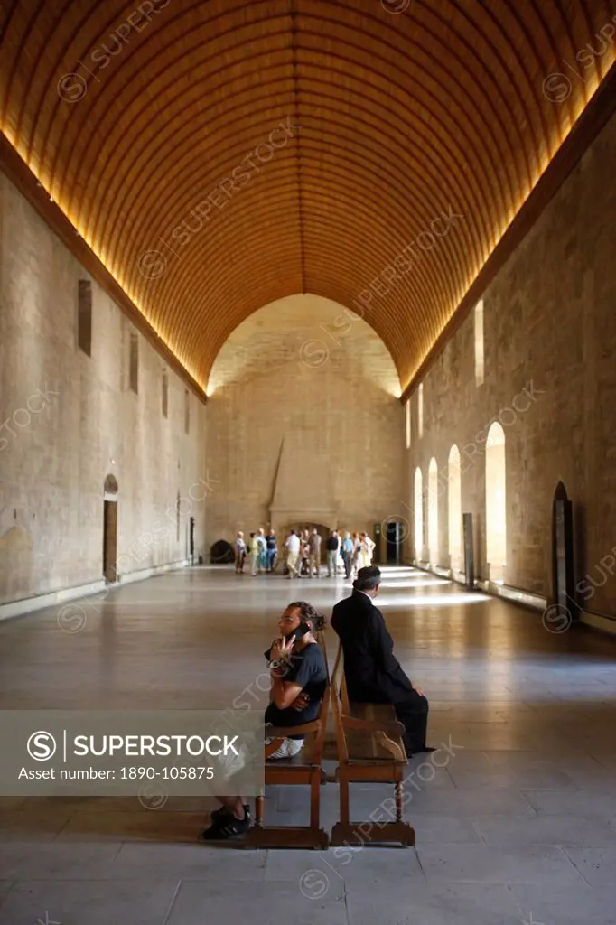 Consistory, Palais des Papes, Avignon, Vaucluse, France, Europe