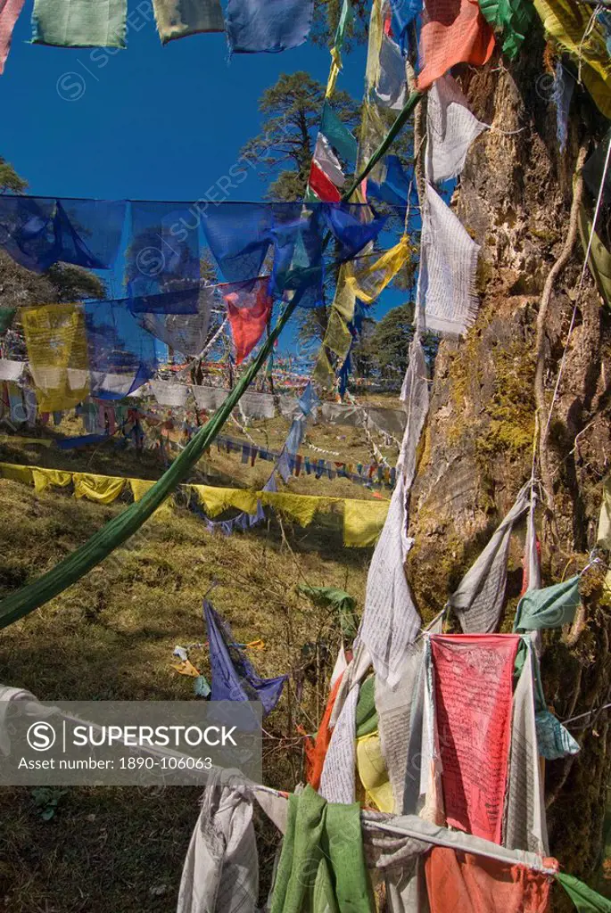 Prayer flags on the pass, Dochu La, Bhutan, Asia