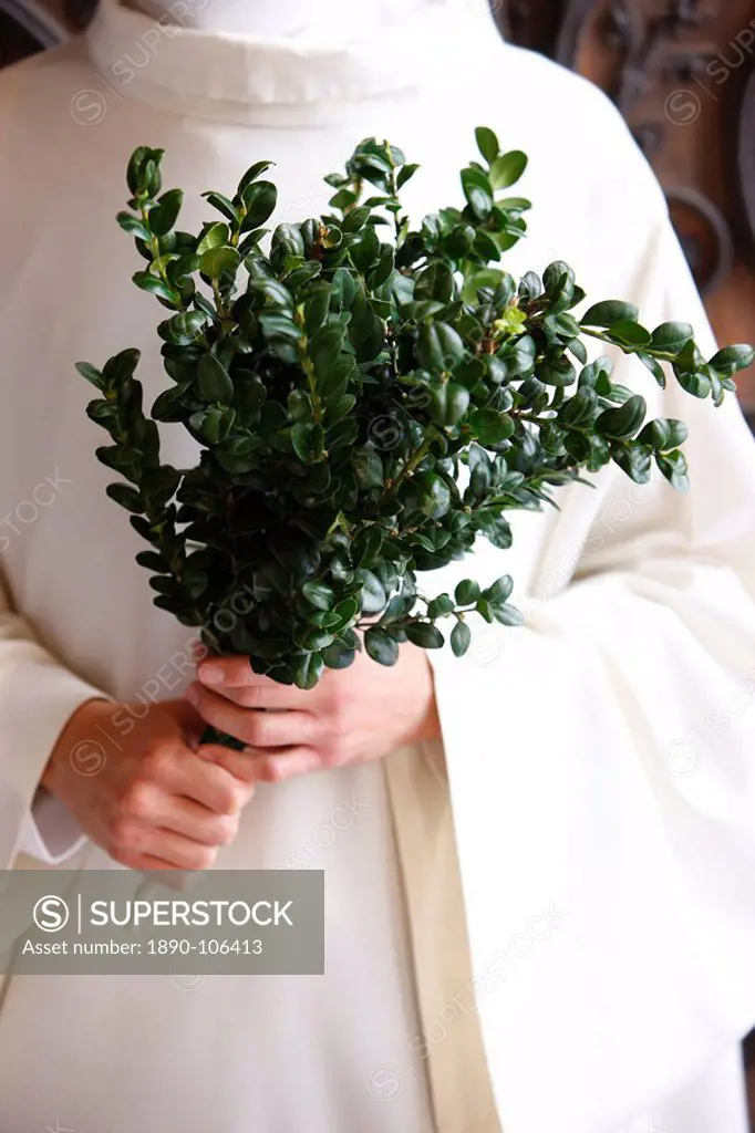 Boxwood branch used for blessing, Paris, France, Europe