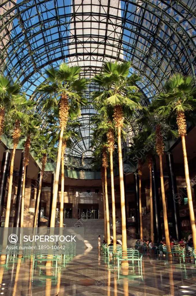 Palm trees in the Winter Garden atrium, part of the World Financial Centre, pre 11 September, Manhattan, New York City, United States of America, Nort...