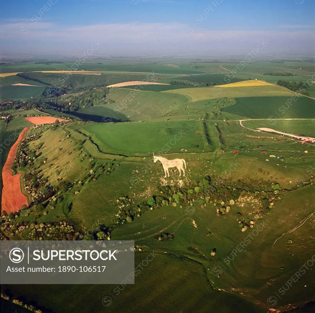 Aerial view of the Westbury White Horse and the Iron Age Bratton Camp Hill Fort, Wiltshire, England, United Kingdom, Europe