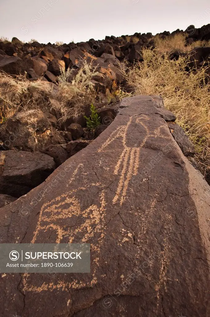 Petroglyph National Monument, Albuquerque, New Mexico, United States of America, North America
