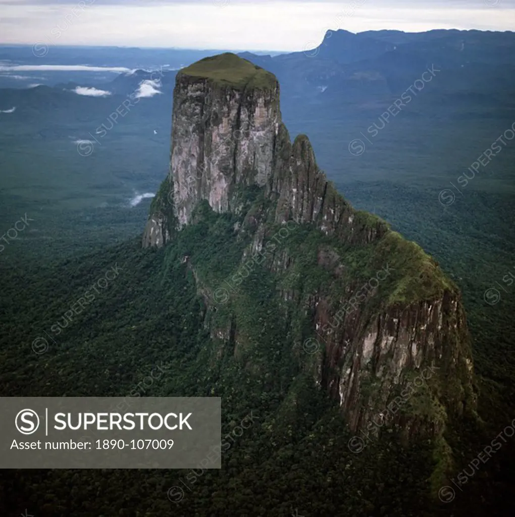 Aerial image of tepuis showing Mount Autana Cerro Autana, Amazonas territory, Venezuela, South America