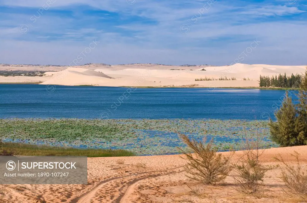 The sand dunes of Mui Ne, Vietnam, Indochina, Southeast Asia, Asia