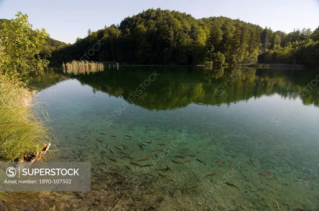 The serene upper Plitvice Lakes National Park, UNESCO World Heritage Site, Croatia, Europe