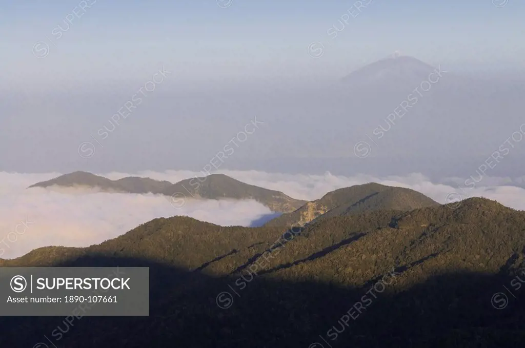 View over Garajonay National Park, UNESCO World Heritage Site, with the volcano of El Teide in the distance, La Gomera, Canary Islands, Spain, Europe