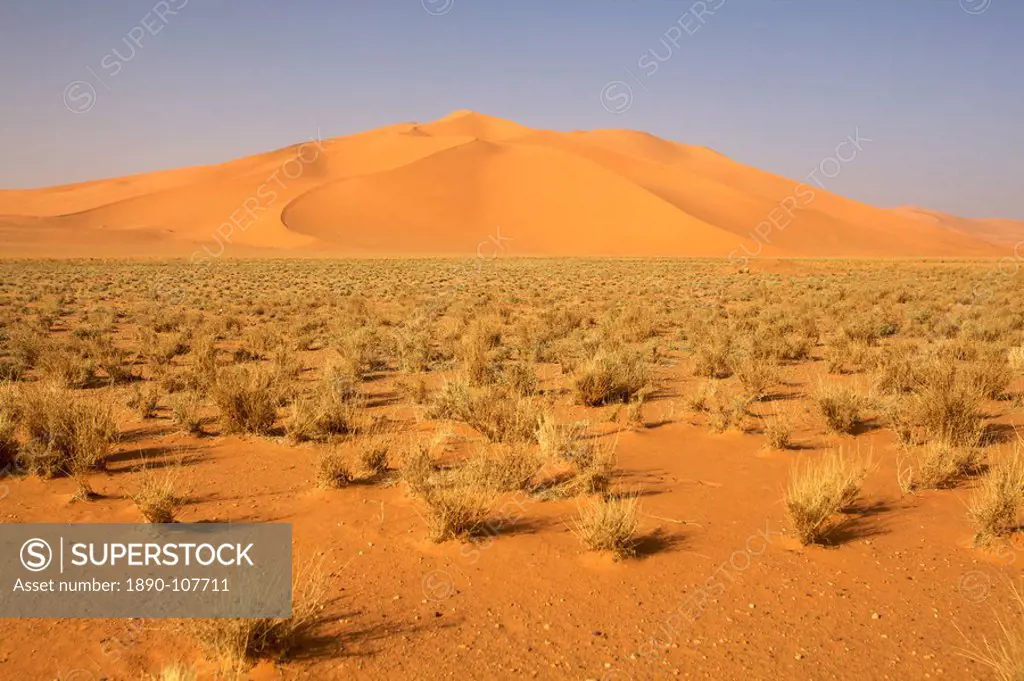 On the dunes of the erg of Murzuk in the Fezzan desert, Libya, North Africa, Africa