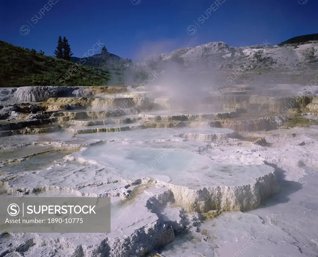 Opal Terrace, Mammoth Hot Springs, Yellowstone National Park, UNESCO World Heritage Site, Wyoming, United States of America USA, North America