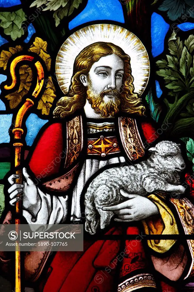 Jesus the Good Shepherd, 19th century stained glass in St. John´s Anglican church, Sydney, New South Wales, Australia, Pacific