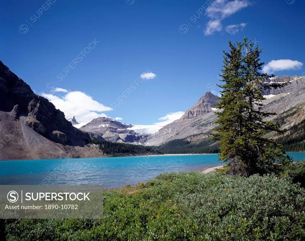 Bow Lake with Bow Glacier behind, Icefields Parkway, Banff National Park, UNESCO World Heritage Site, Alberta, Canada, North America