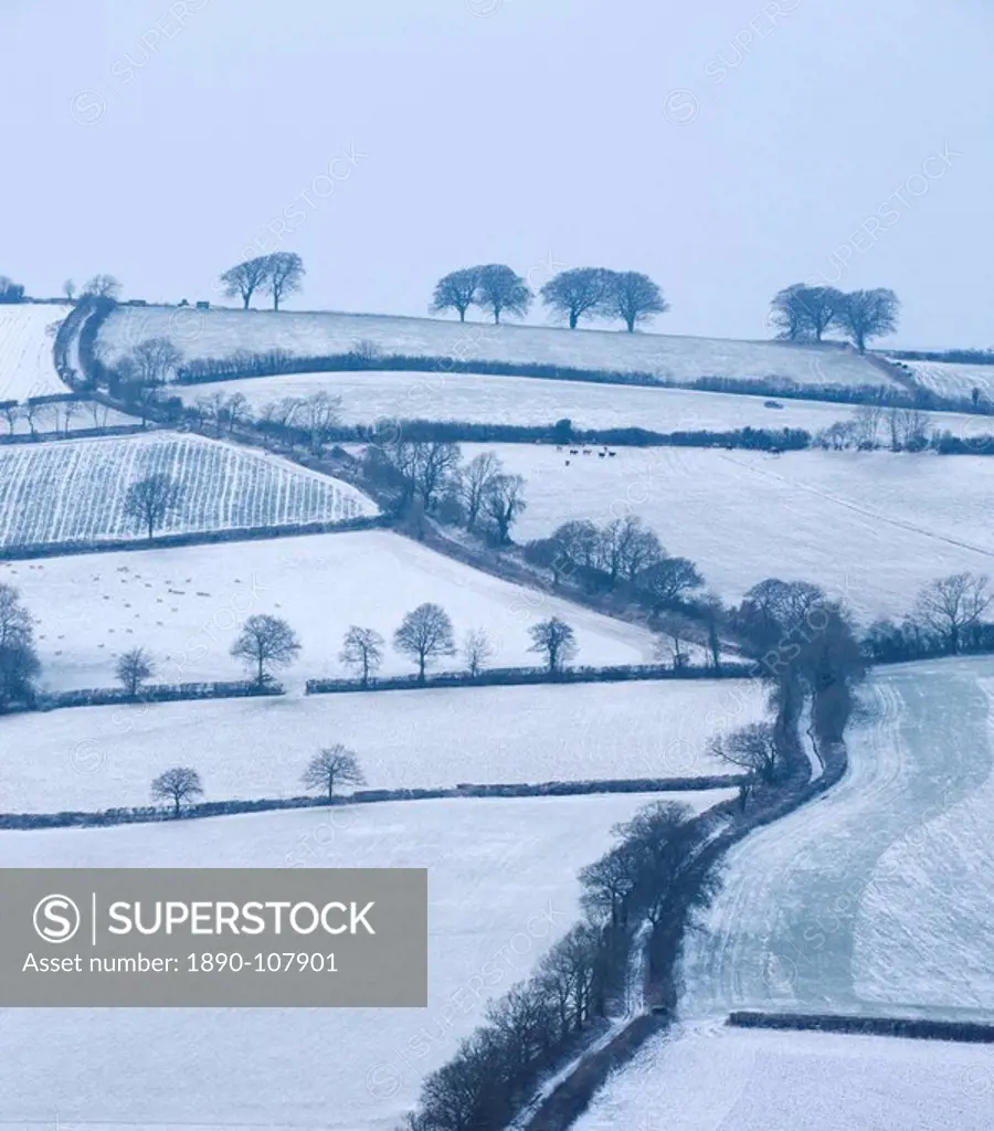 Snow covered winding country lane and rural landscape near Stockleigh Pomeroy, Devon, England, United Kingdom, Europe