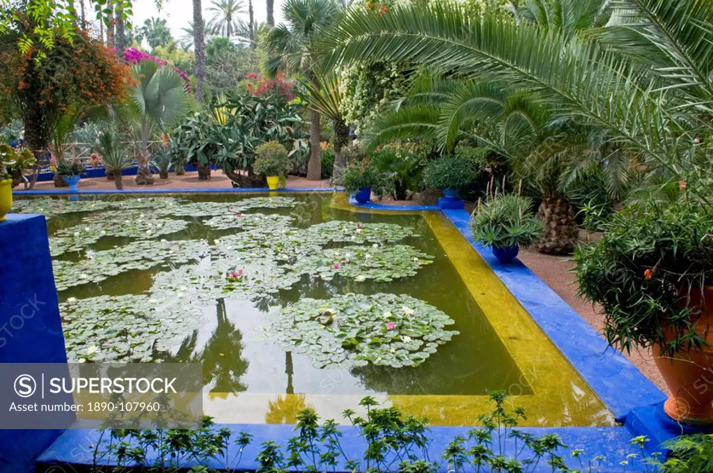 Jardin Majorelle, Marrakech, Morocco, North Africa, Africa