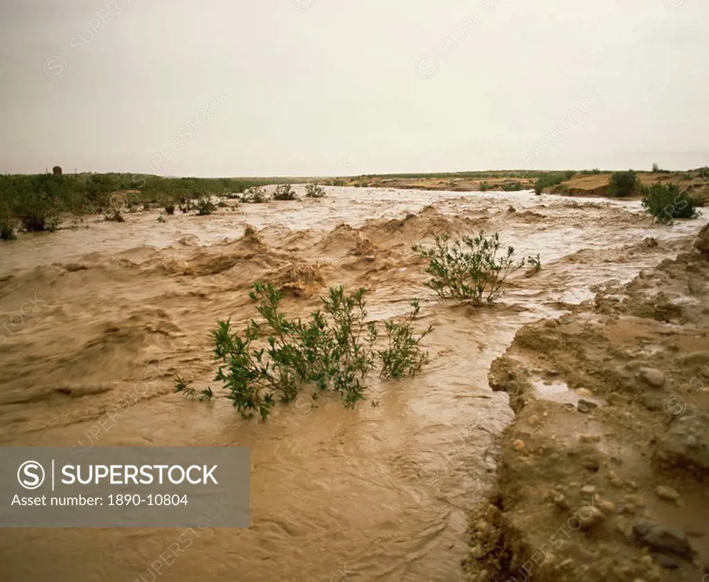 Flash flood in oued river bed in normally dry Algerian Sahara region, Algeria, North Africa, Africa