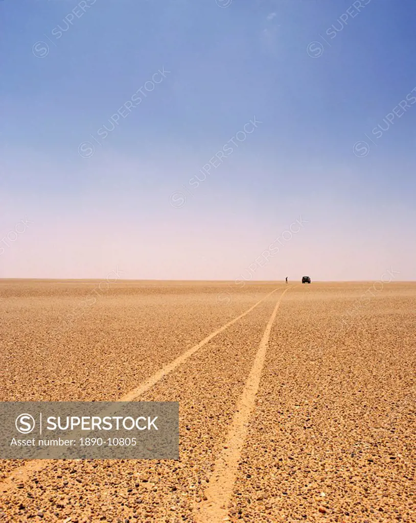 Typical example of the reg, a vast featureless stoney plain, Sahara region, Algeria, North Africa, Africa