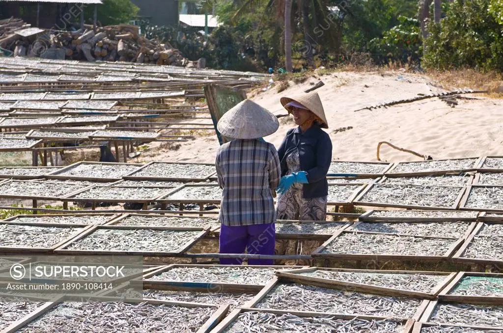 Women at local fish factory working with dry fish, Mui Ne, Vietnam, Indochina, Southeast Asia, Asia