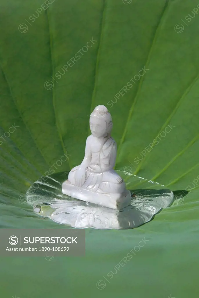 Buddha in a lotus leaf, Paris, France, Europe
