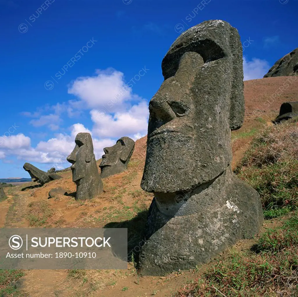 Moai statues carved from crater walls, on the southern slopes of Volcan Rano Raraku, the birthplace of the moai, Easter Island Rapa Nui, UNESCO World ...