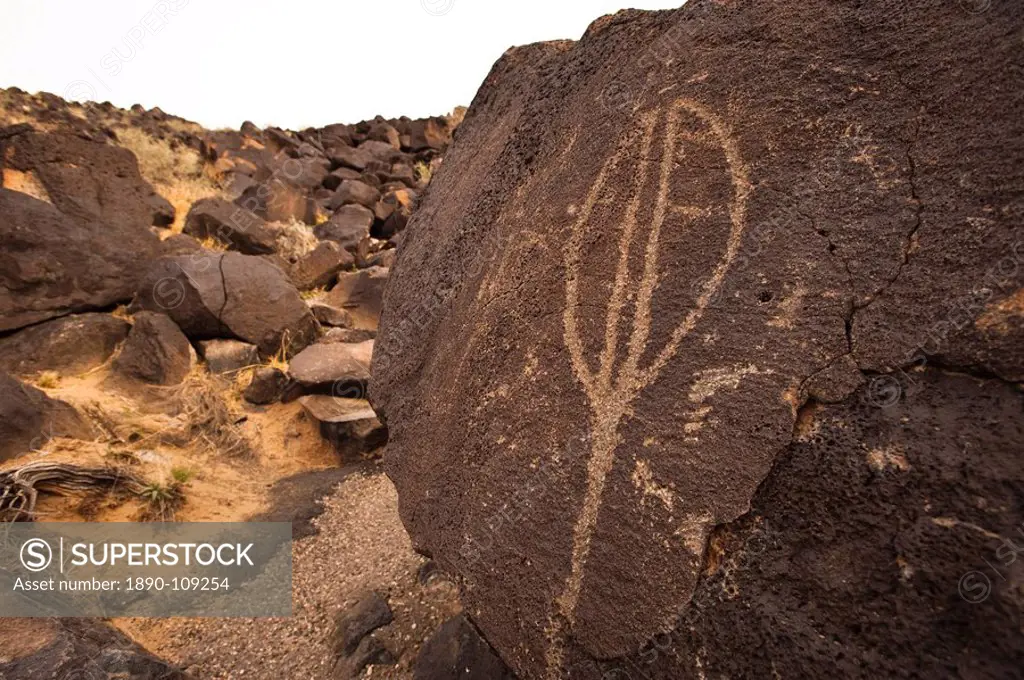 Petroglyph National Monument, Albuquerque, New Mexico, United States of America, North America