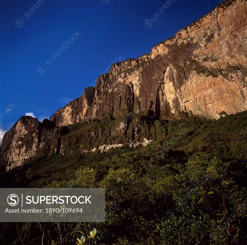Ascent ledge on southwest cliff, Mount Roraima Cerro Roraima, Tepuis, Estado Bolivar, Venezuela, South America
