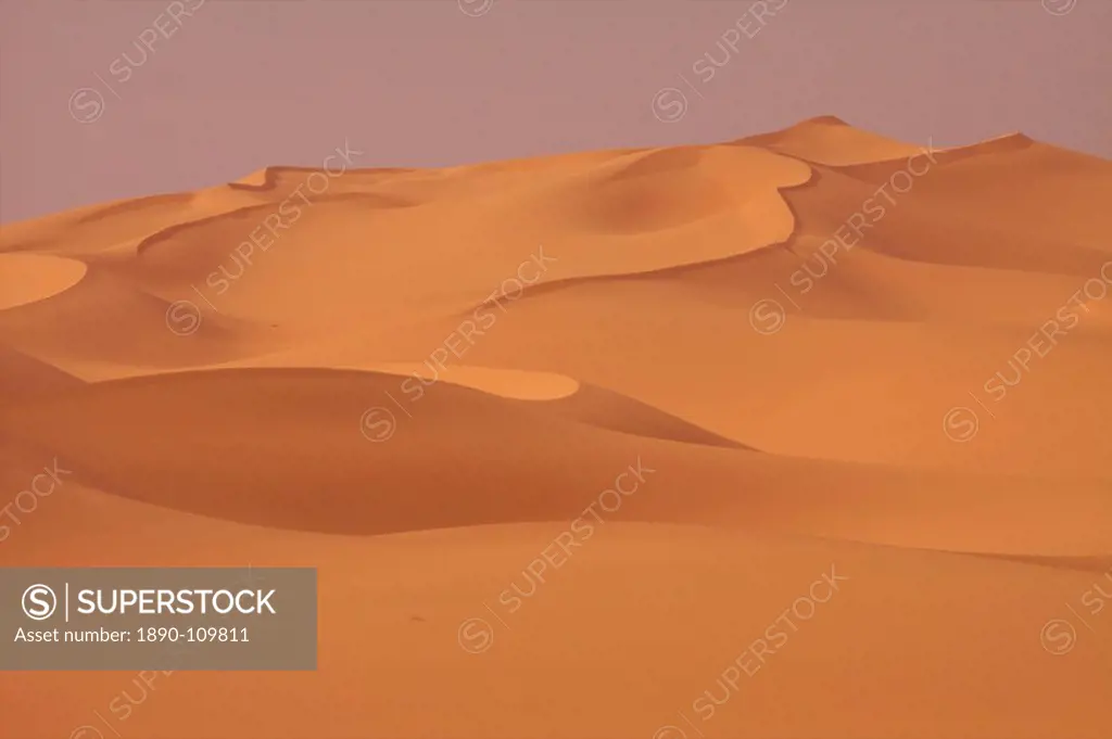 In the dunes of the erg of Murzuk in the Fezzan desert, Libya, North Africa, Africa