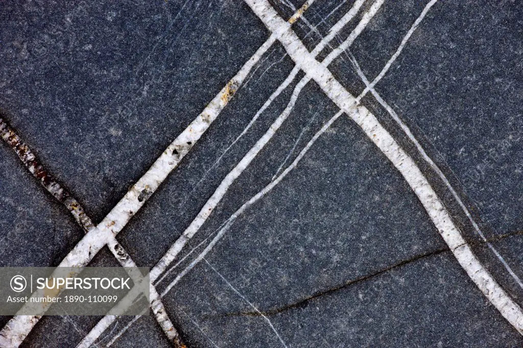 Quartz veins in rocks at Sandymouth Bay, Cornwall, England, United Kingdom, Europe