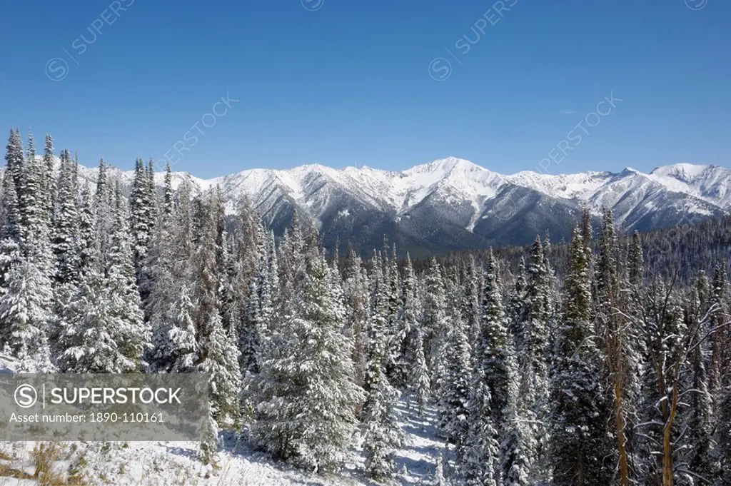 Bolder Mountains in first winter snow, near Galena, Rocky Mountains, Idaho, United States of America, North America