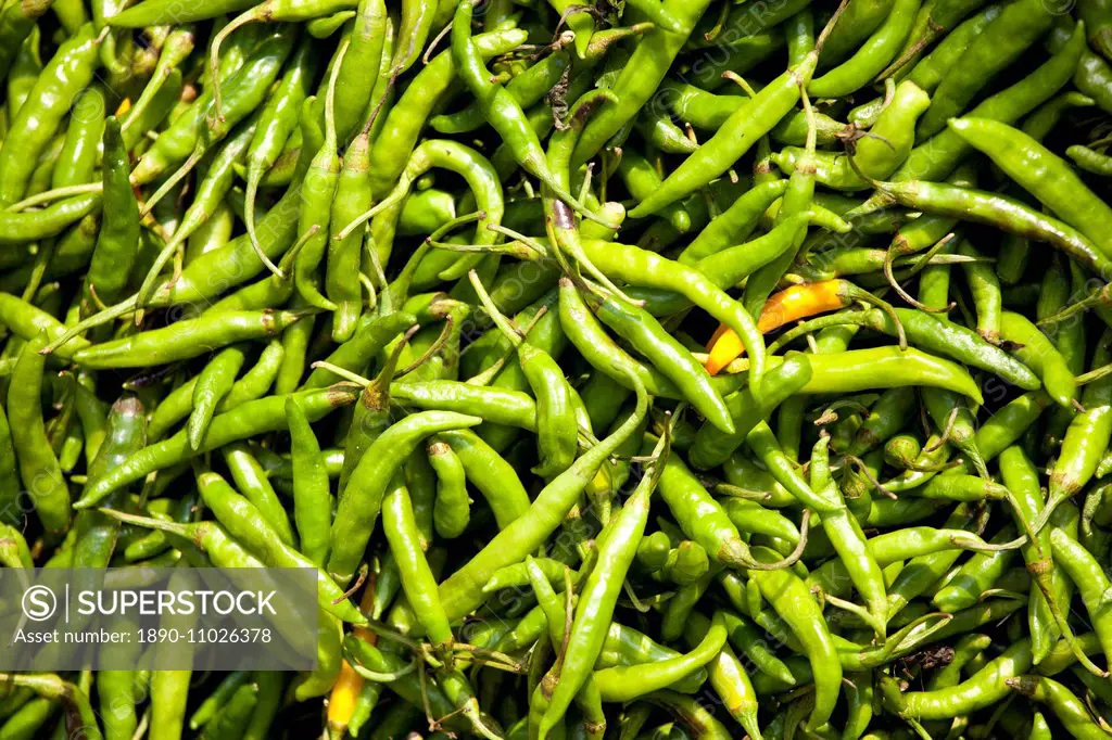 Old Delhi, Daryagang fruit and vegetable market with green chillies on sale, India