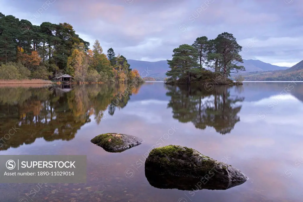 Otter Island near the southern shores of Derwent Water, Lake District National Park, Cumbria, England, United Kingdom, Europe